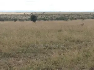Isinya Plots