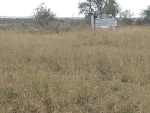 Isinya Plots