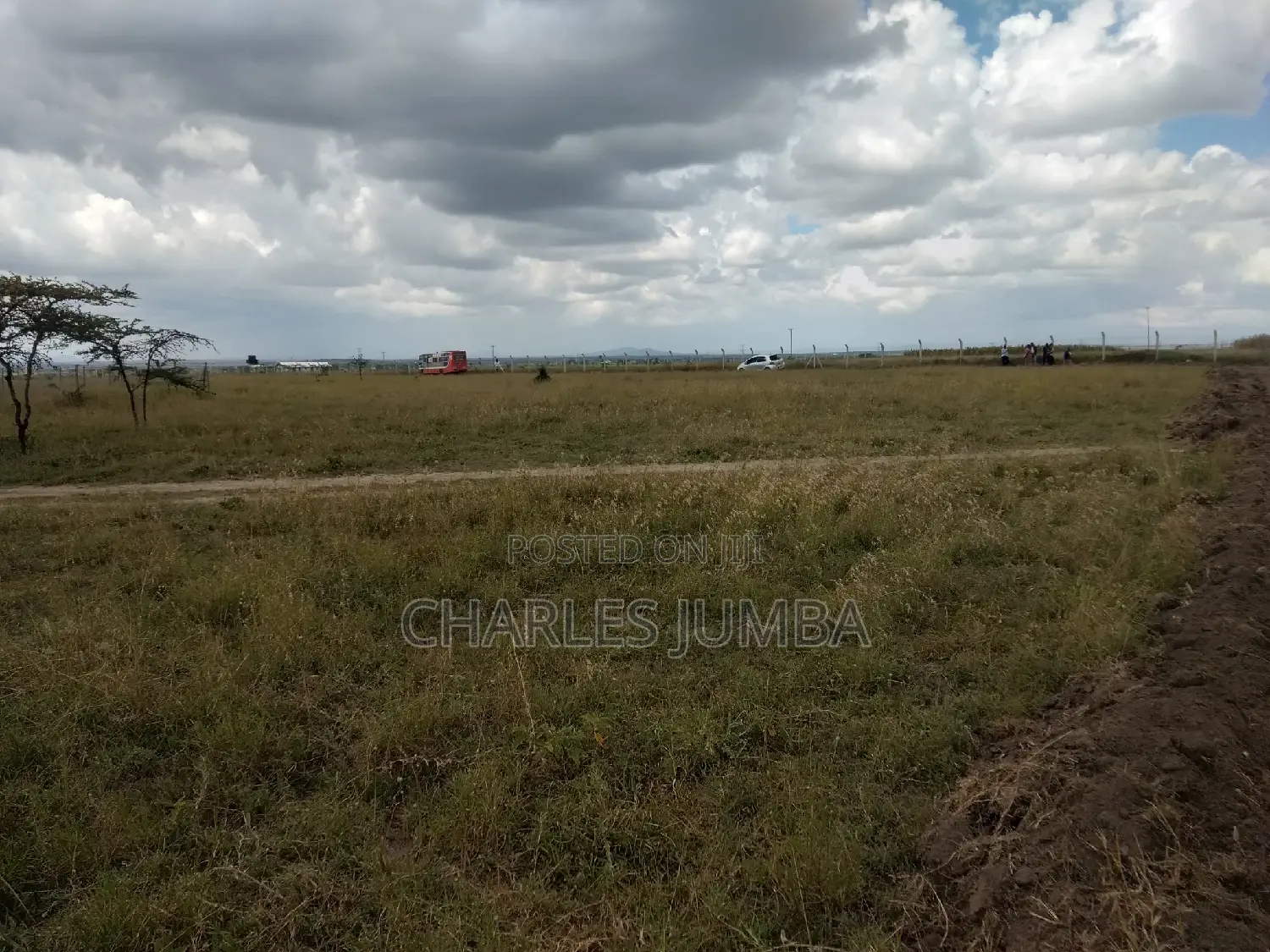 Isinya Plots