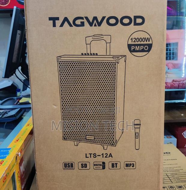 TAGWOOD LTS-12A Outdoor Speaker
