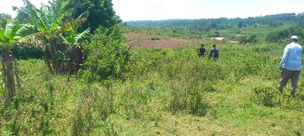 Gem Karuwa Land - main view