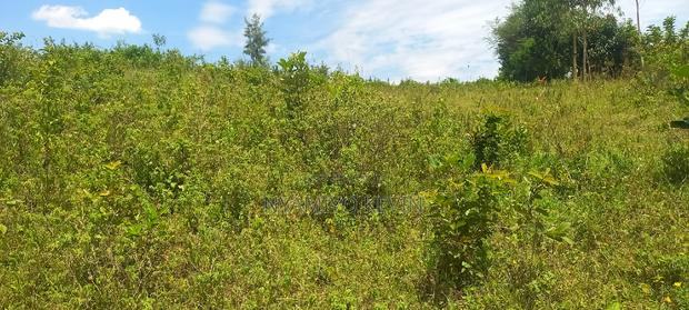 Gem Karuwa Land - thumbnail 5