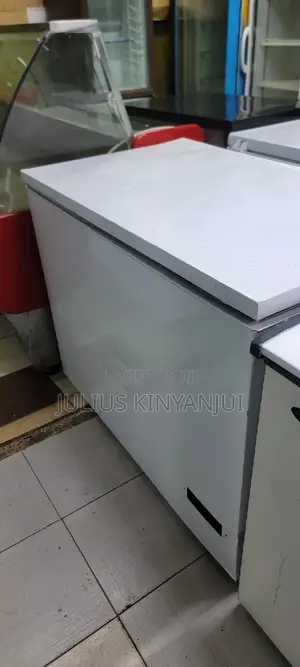 300L Deep Freezer