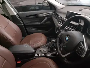 BMW X1 2018 Brown