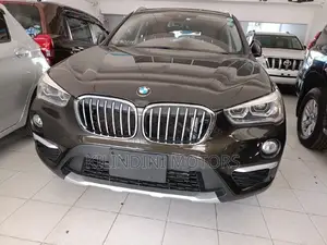 BMW X1 2018 Brown