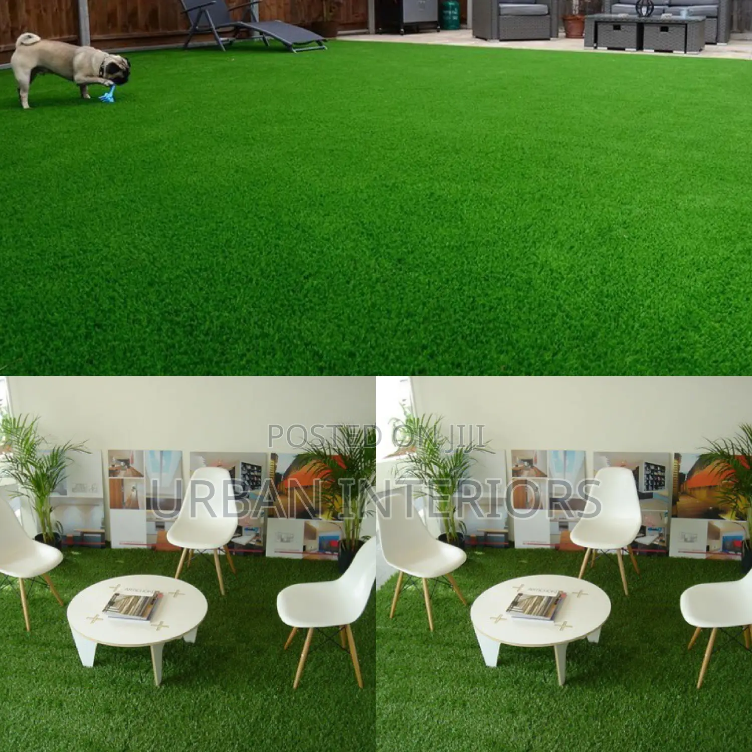 Grass Carpet Grass Carpet Grass Carpet Grass Carpet