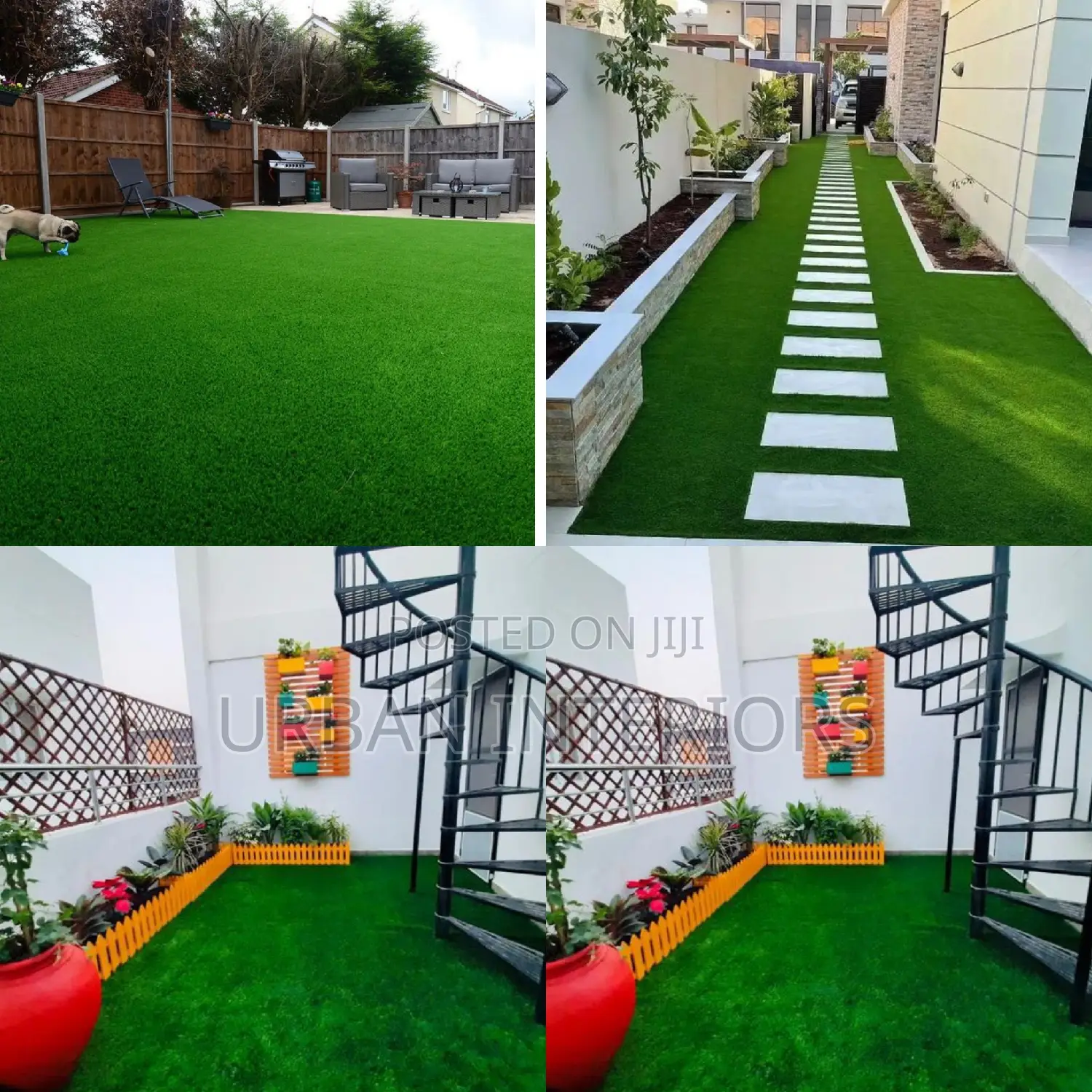Grasss Carpet Grass Carpet Grass Carpet Grass Carpet