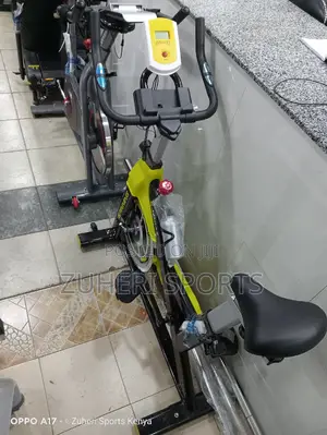 13kg Flywheel Heavy Duty Spinbike Cardio Exercise