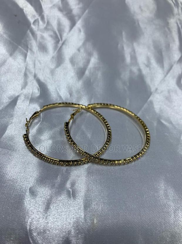 Hoop Earings for Ladies - main view