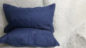 A Pair (2) Quality Pillow Protector