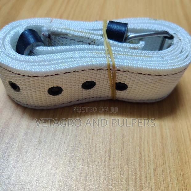Pouch Web Belt (Reward Pouch Belt) - main view