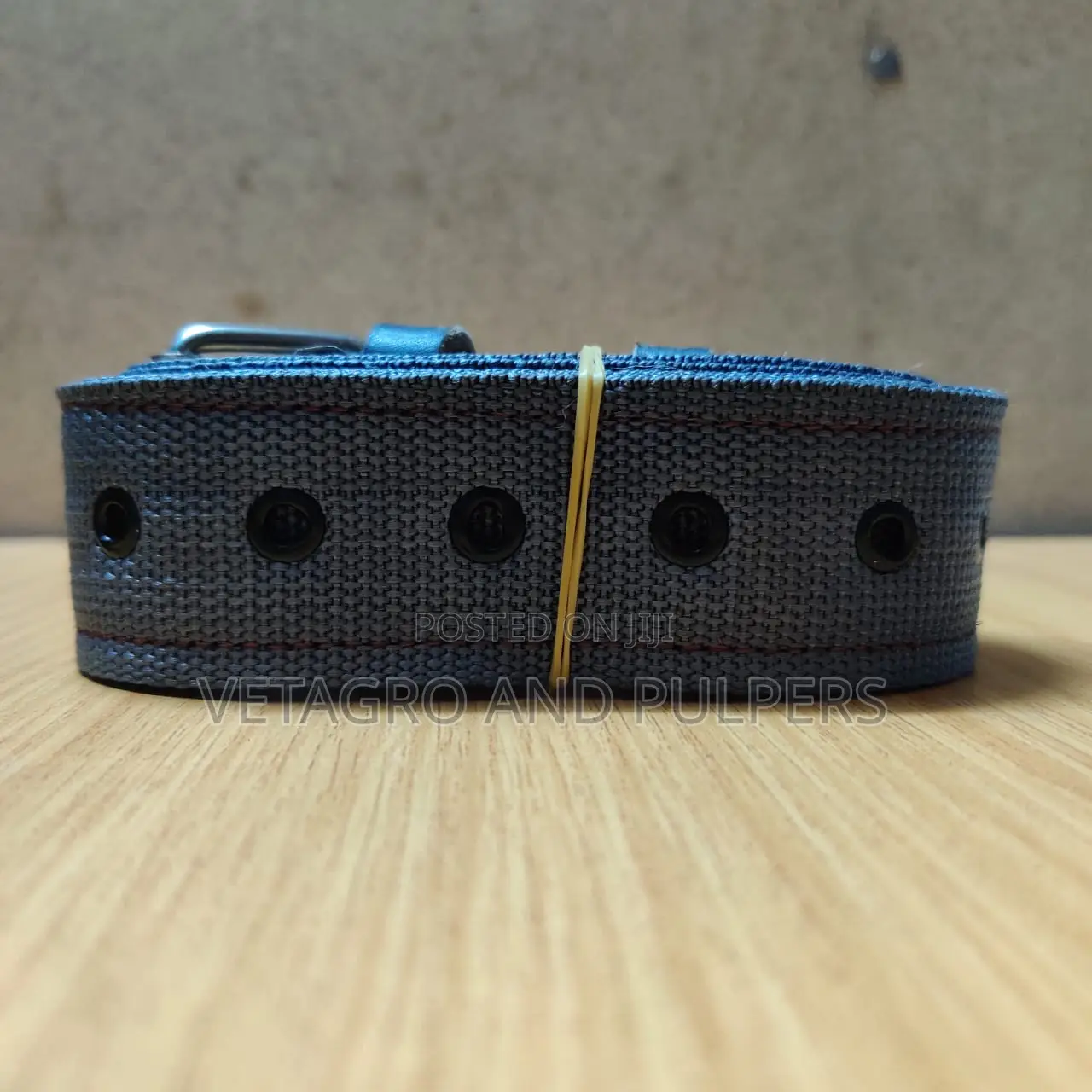 Pouch Web Belt (Reward Pouch Belt)
