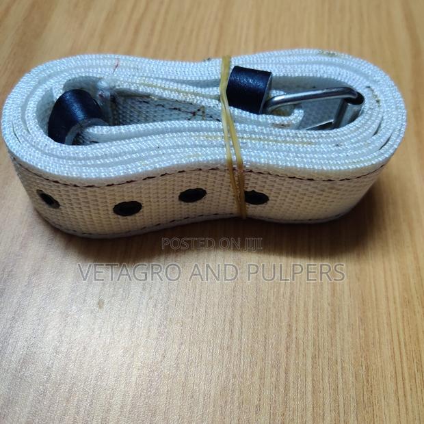 Pouch Web Belt (Reward Pouch Belt) - thumbnail 5