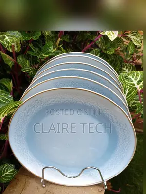 Beautiful 6 Pieces Ceramic Plates