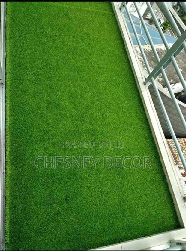 Turf Grass Turf Grass Turf Grass - main view
