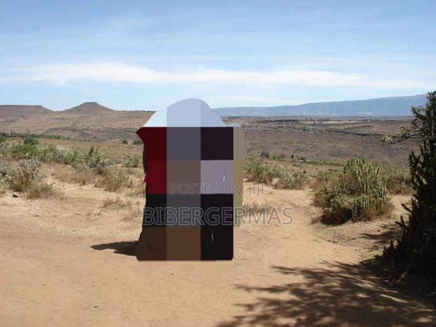 Half an Acre Land for Sale - thumbnail 3