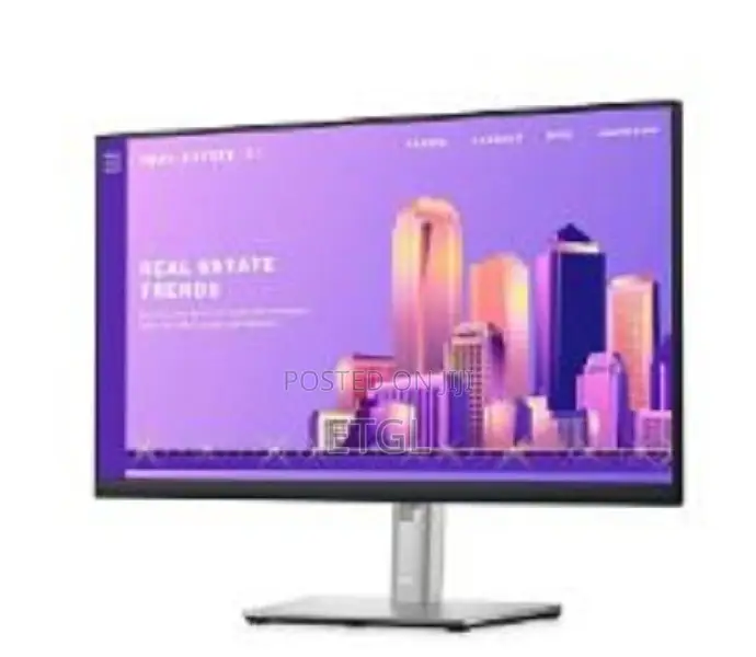 Deldell 24 Monitor-P2422h-60.5cm(23.8")