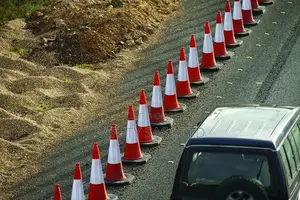 Weighted Roadhog Traffic Cones