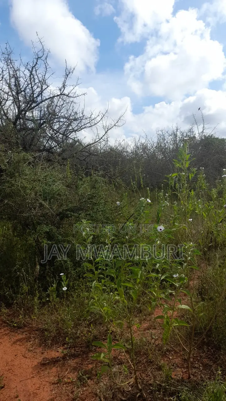 60 Acres Makindu Wote Road