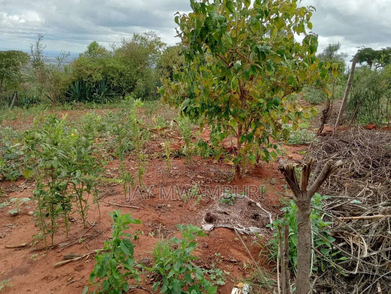 60 Acres Makindu Wote Road