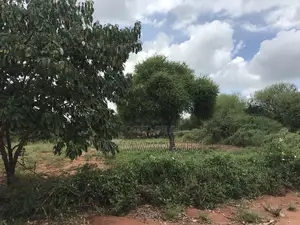 60 Acres Makindu Wote Road