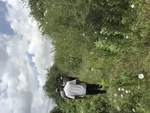 60 Acres Makindu Wote Road