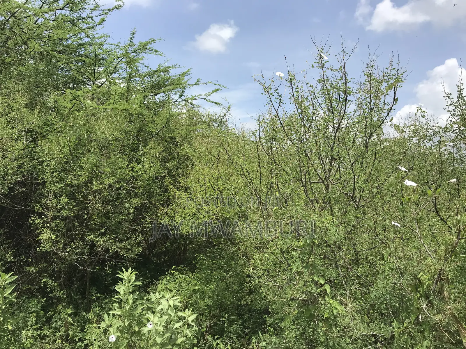 60 Acres Makindu Wote Road