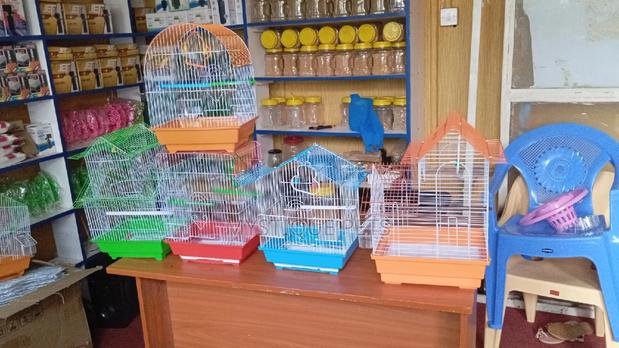 Ornamental -Birds - main view