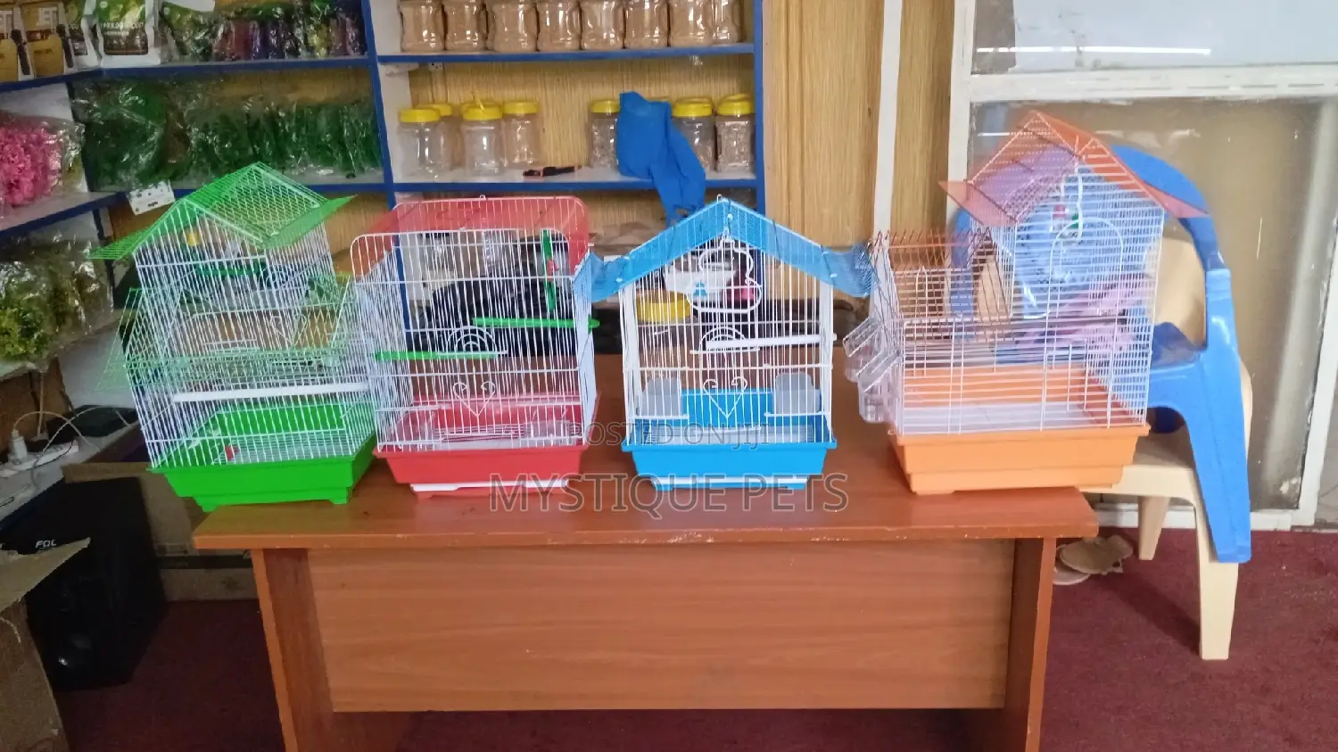 Ornamental -Birds