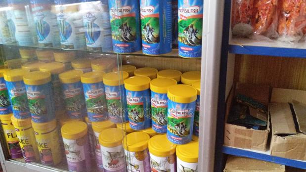 Fish Flakes - thumbnail 2