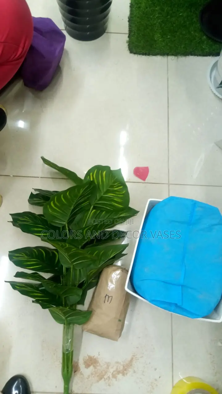Plant, Plastic Vase and Pebble Stones