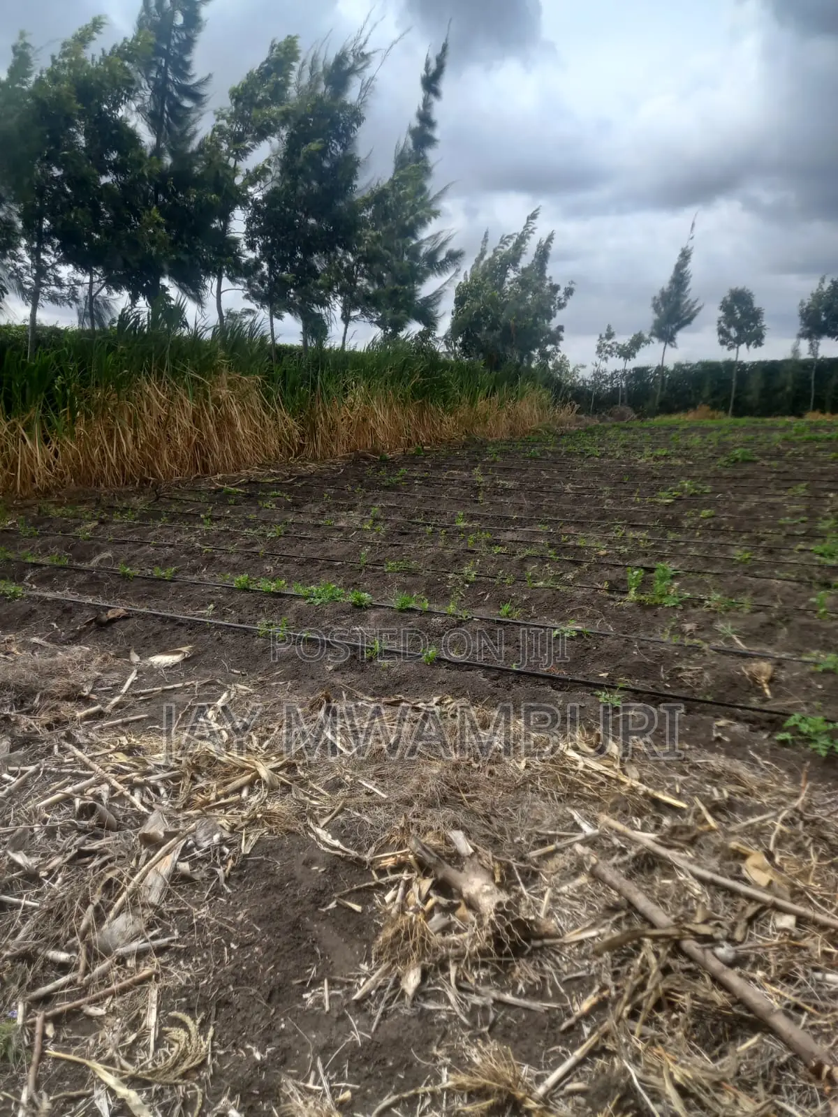 5 Acre Farm Gelani Machakos