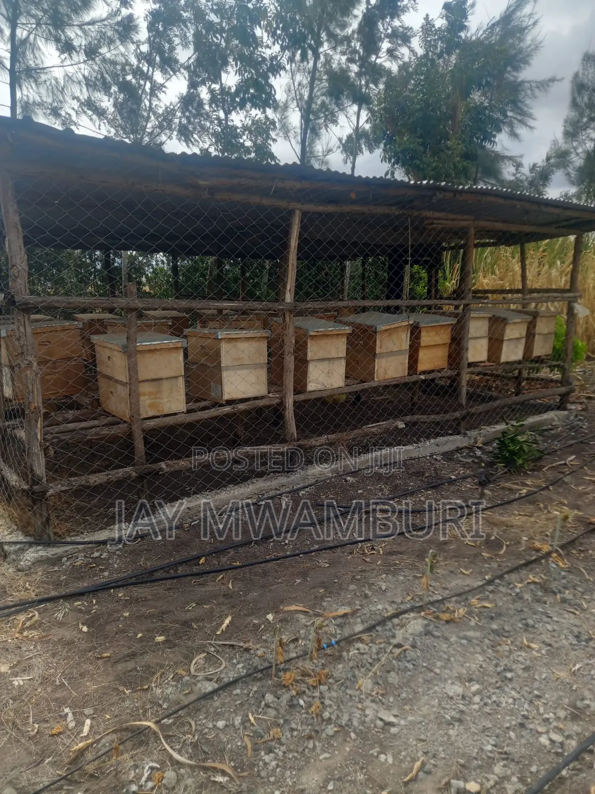 5 Acre Farm Gelani Machakos