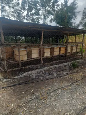 5 Acre Farm Gelani Machakos