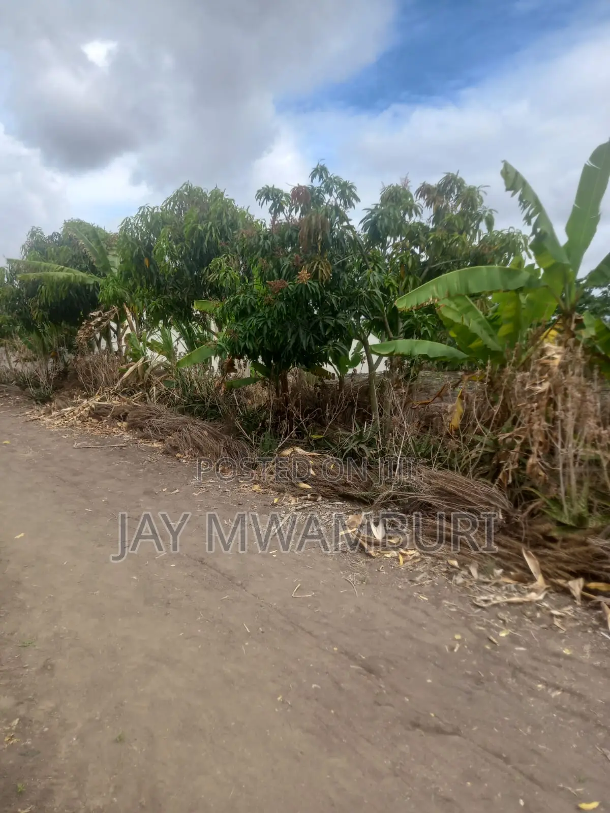5 Acre Farm Gelani Machakos