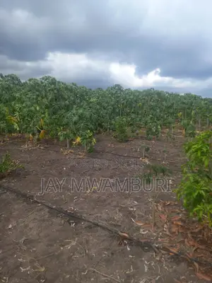 5 Acre Farm Gelani Machakos