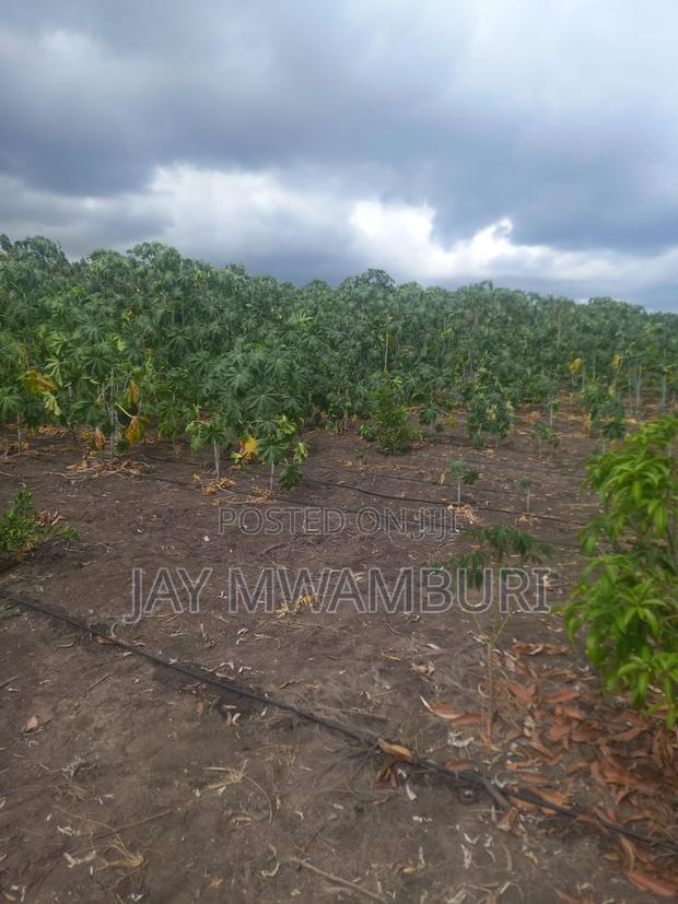 5 Acre Farm Gelani Machakos - thumbnail 5