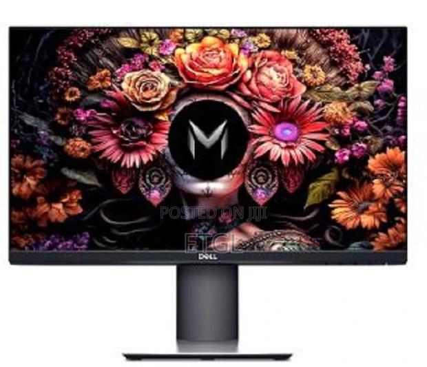 Dell P2219h Monitor - main view