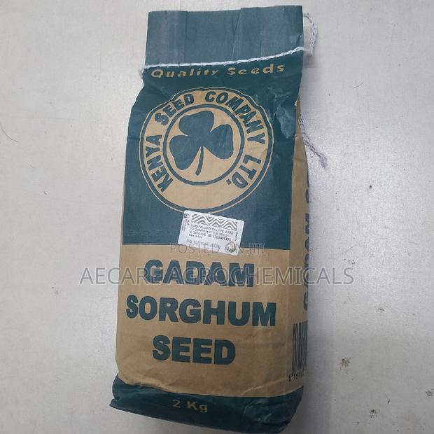 Sorghum Gadam Seeds 2kgs