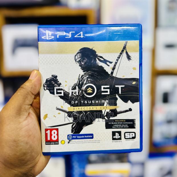 PS4 Ghost of Tsushima Director's Cut - main view