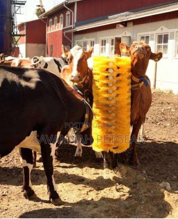Cow Massaging Brush
