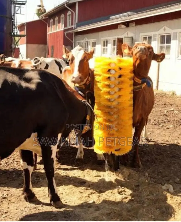 Cow Massaging Brush