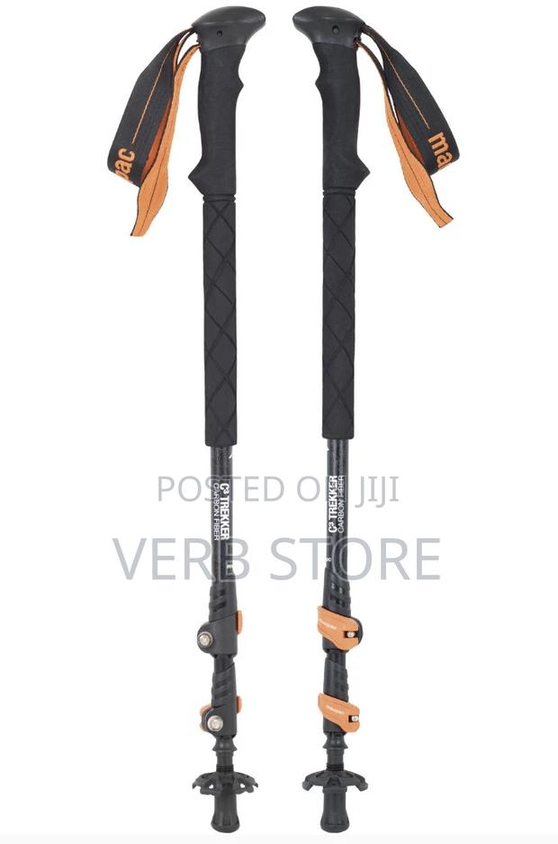 Hiking Poles - main view