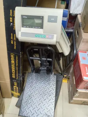 A12 Digital Weighing Scale