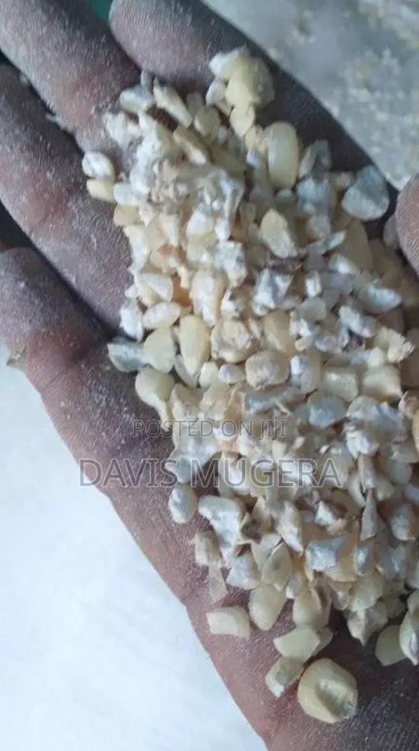 Broken Maize Corn Chicken Feed - 50kg - main view