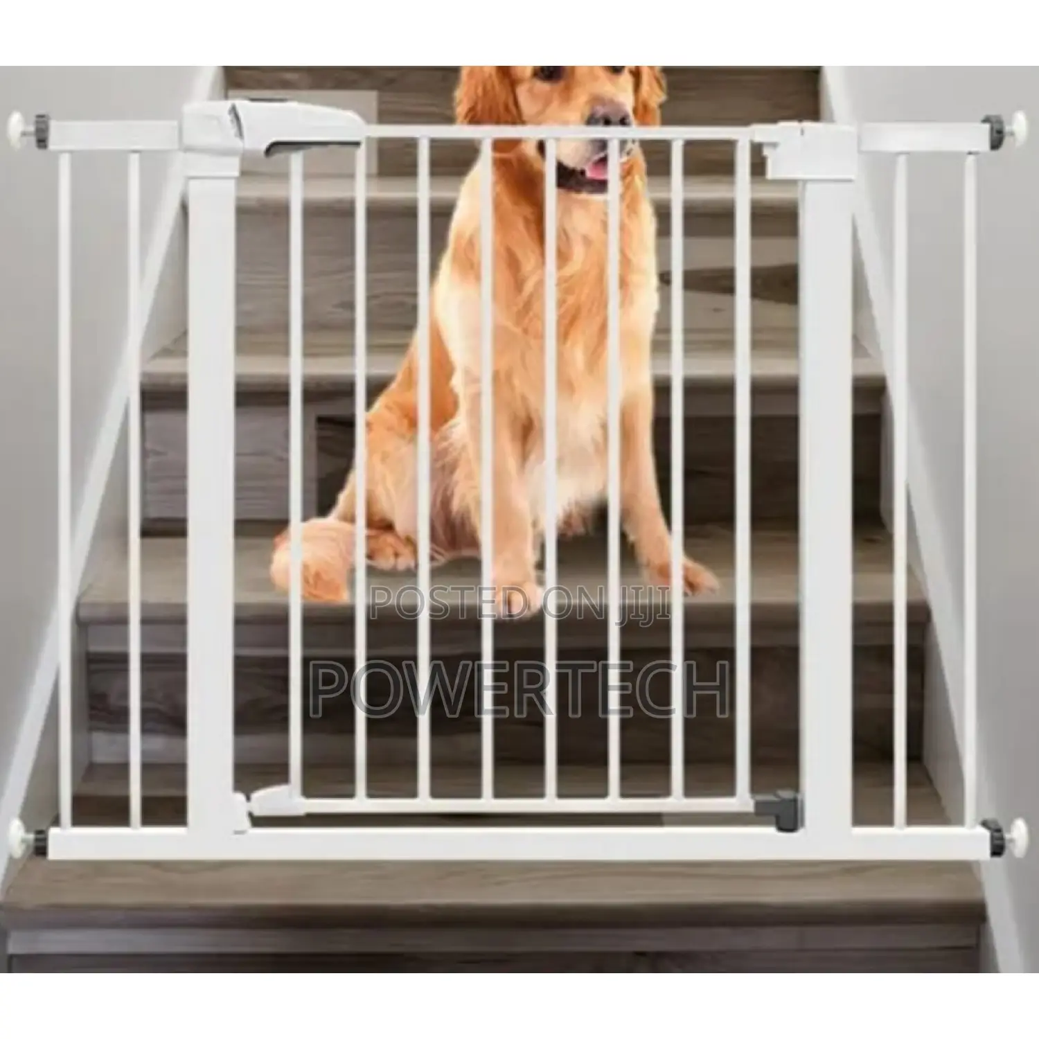 Kids Safety Gates / Safety Gates