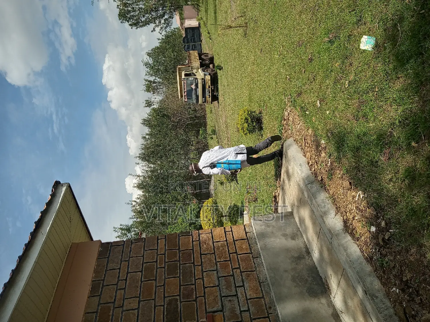 End All Pests Problems Affordably/Pest Control Fumigation Services