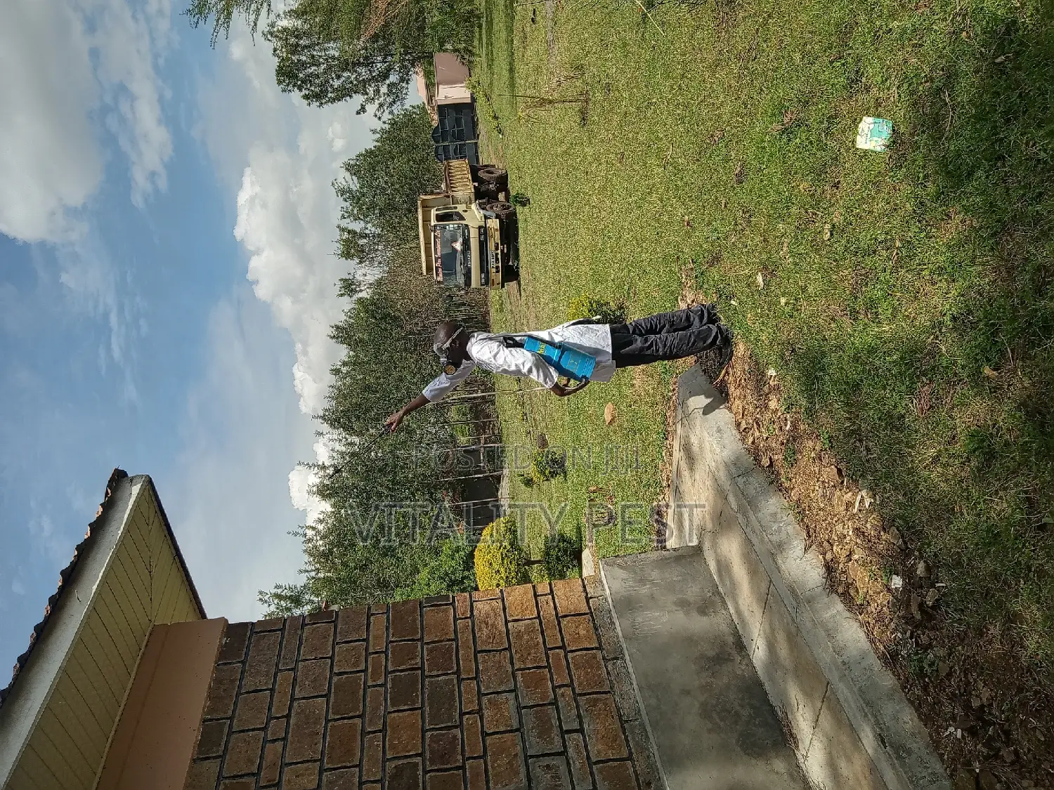End All Pests Problems Affordably/Pest Control Fumigation Services