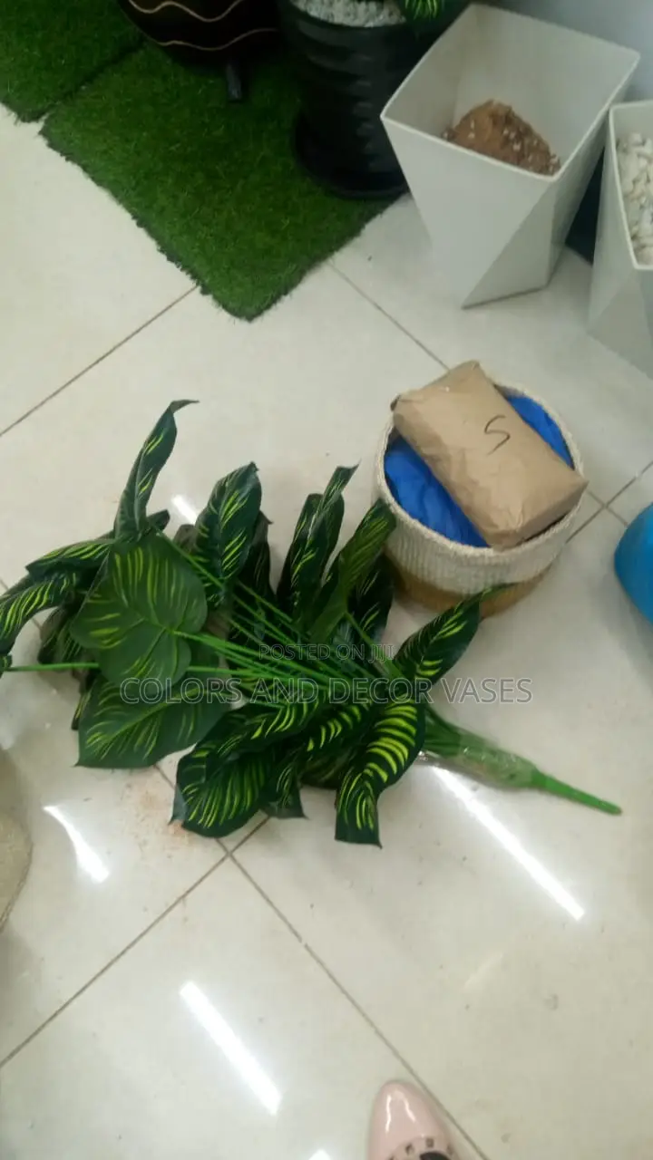 Basket, Plastic Plant and Pebble Stones