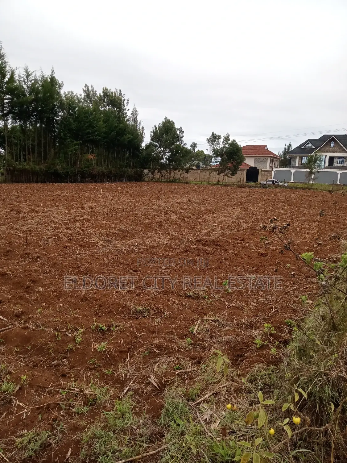 1/2 Acre Elgonview Upper